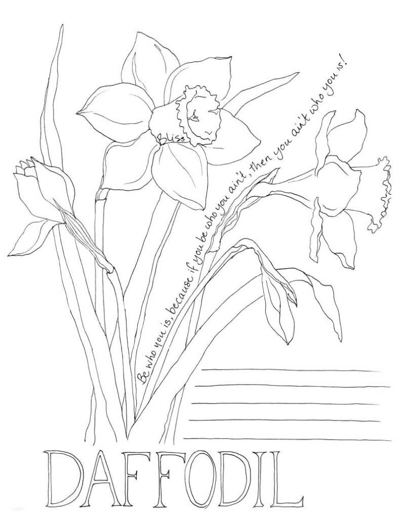 Desenho Flores de Narciso para Colorir com Lápis de Cor