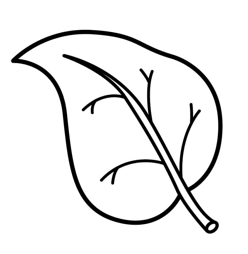 Desenho de Folha Detalhada para Colorir