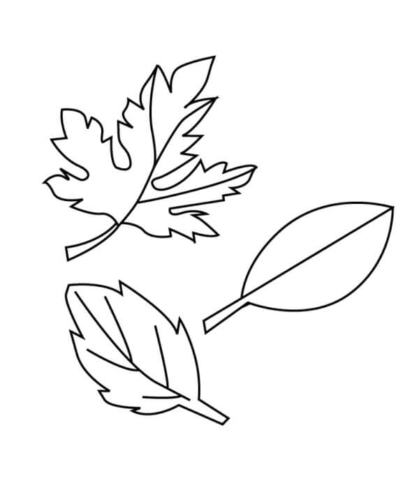 Desenho de Folha em Vaso para Imprimir