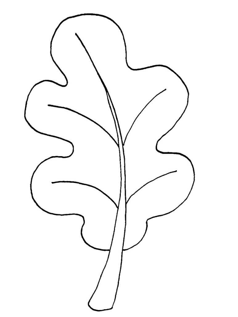 Desenho de Folha no Chão para Colorir