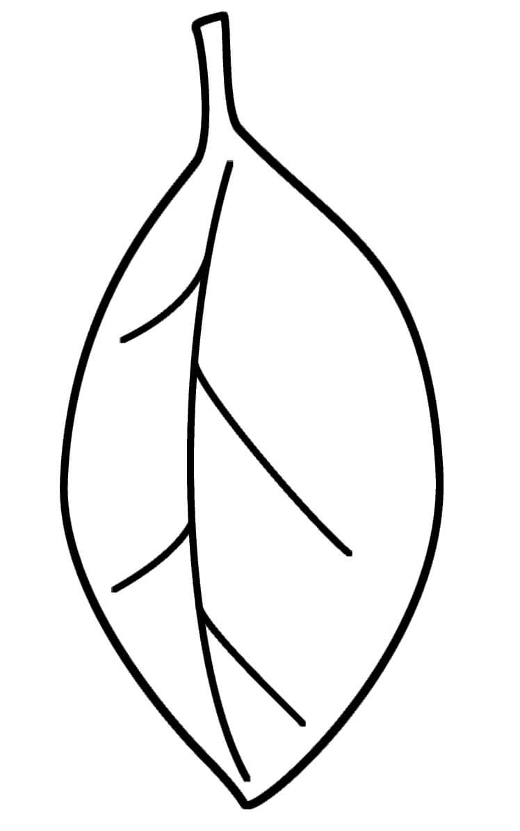 Desenho de Folha para Imprimir Lápis de Cor