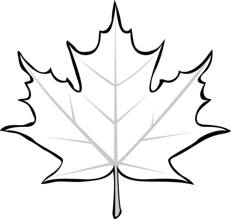Desenho de Folha Simples para Imprimir Lápis de Cor