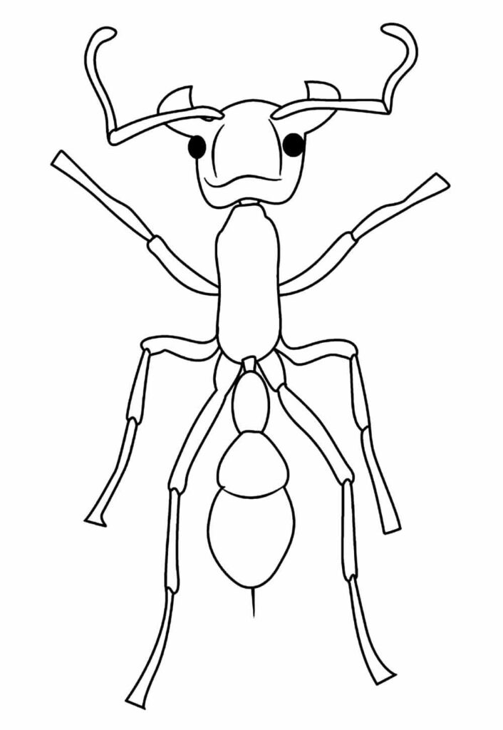 Desenho de uma Formigá Fácil para Colorir