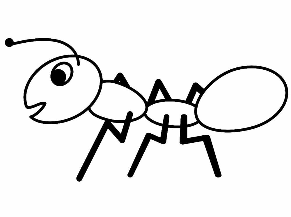 Desenho de uma Formigá para Colorir