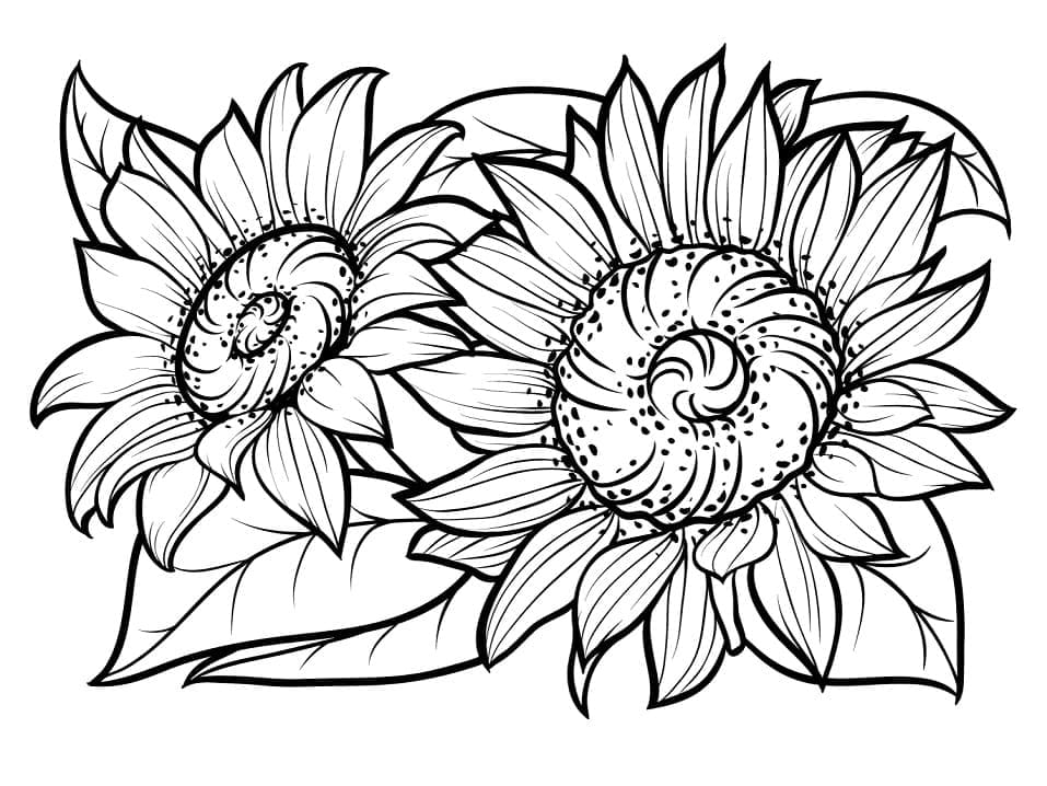 Desenho de Dois Girassóis para Colorir