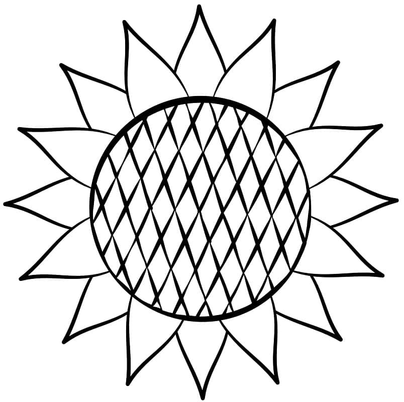 Desenho de Girassol Florescendo para Colorir