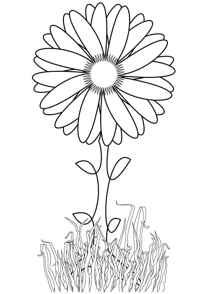 Desenho de Girassol Grátis para Crianças para Colorir