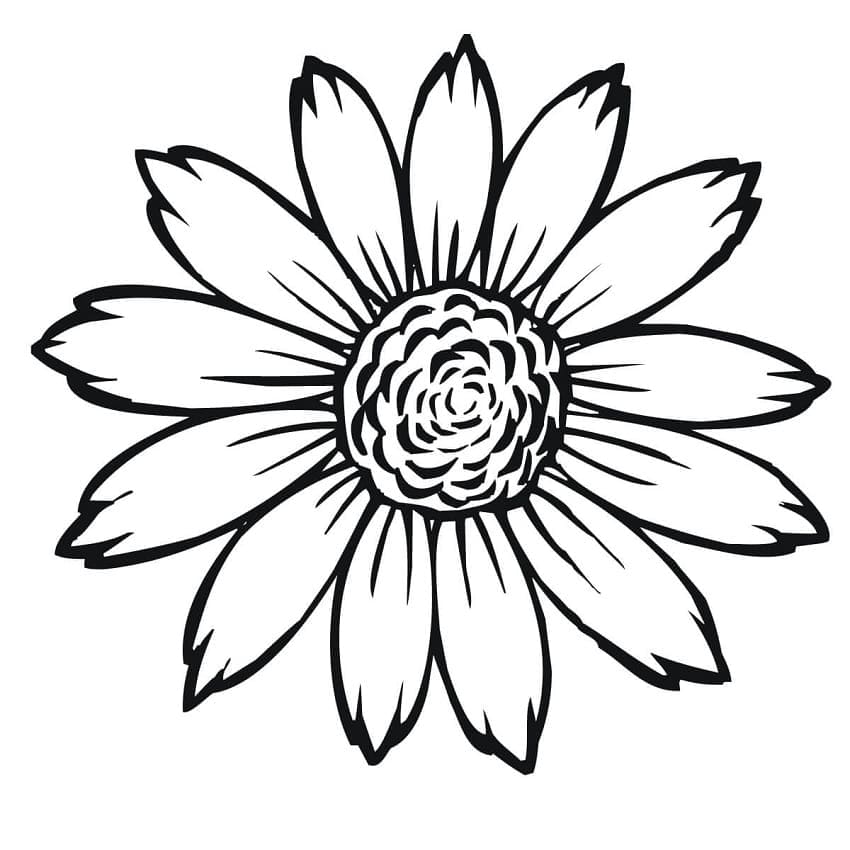 Desenho de um Girassol Simples para Colorir