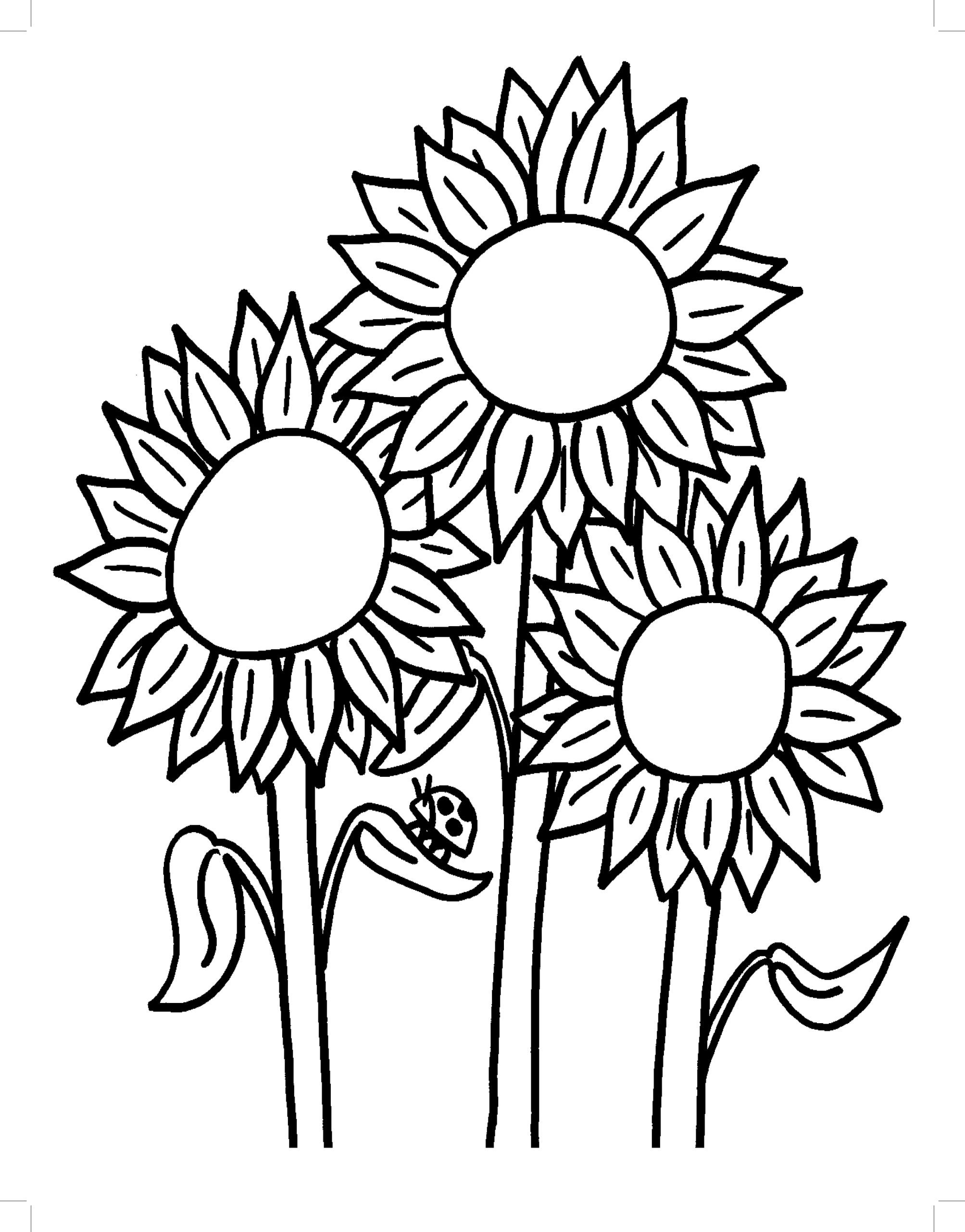 Desenho de Flor Girassol Completo para Colorir Pdf