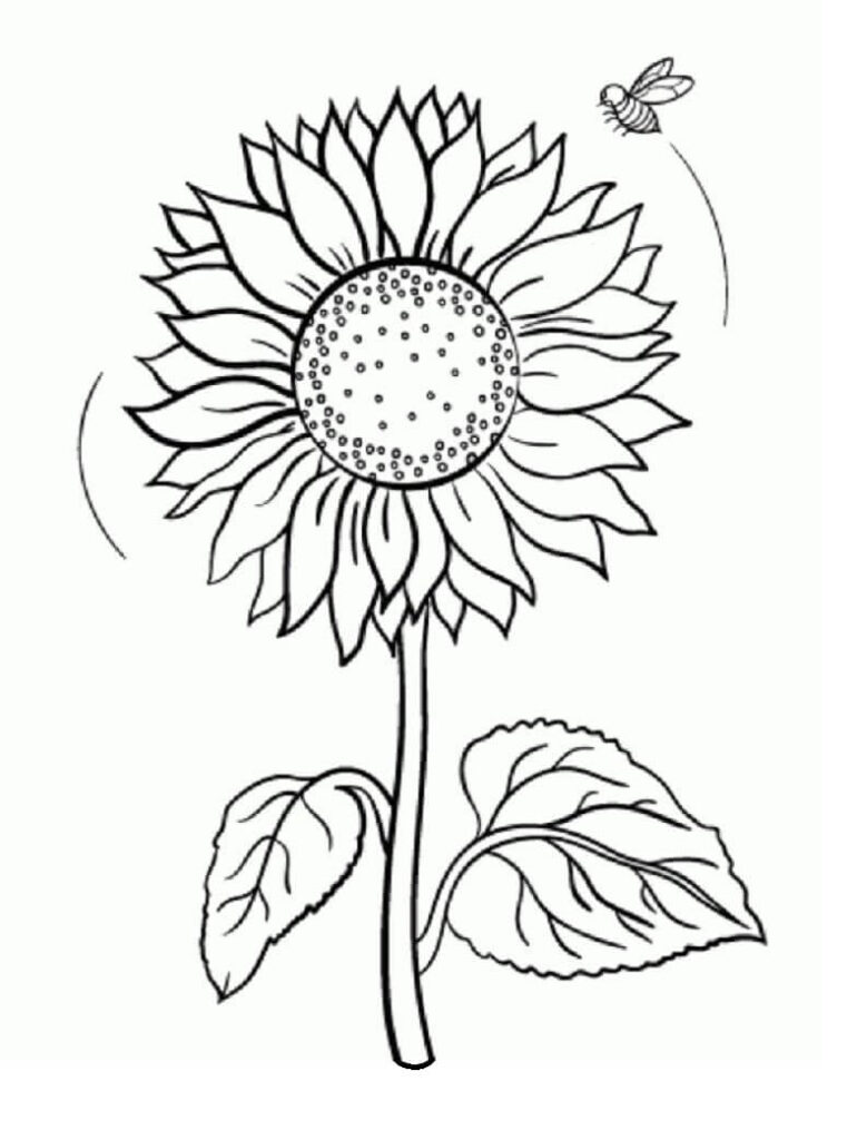 Desenho Girassol e Abelha para Colorir