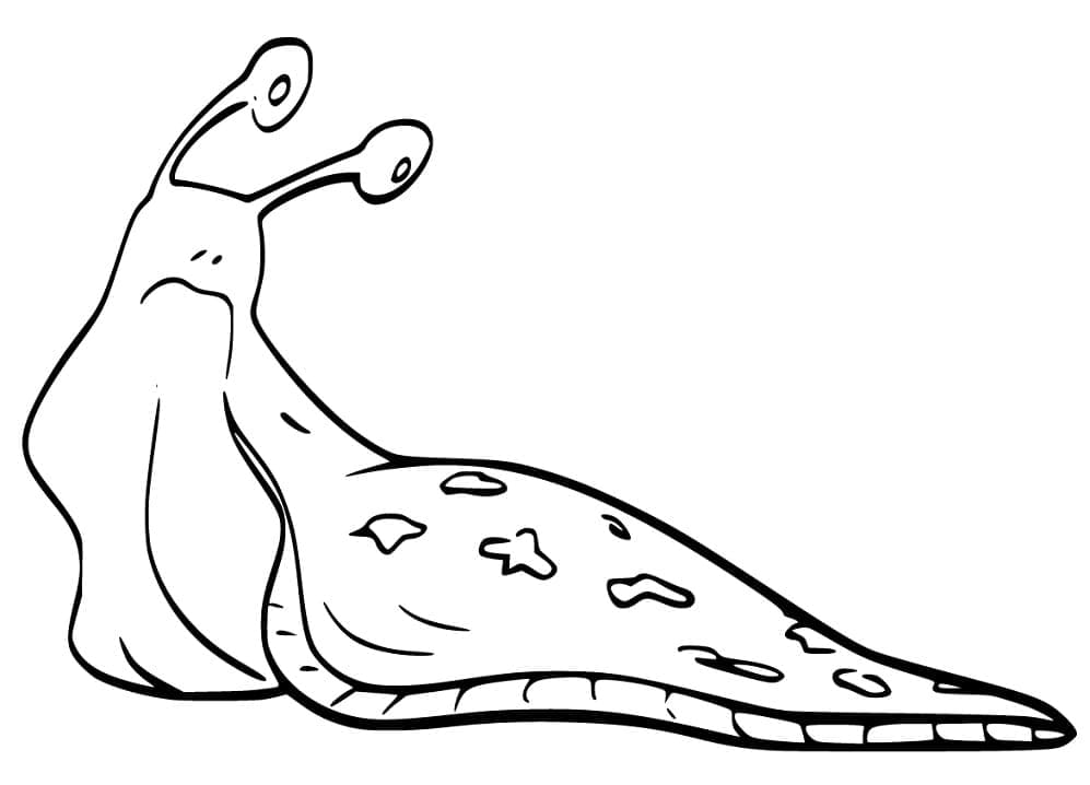 Desenho De Lesma 1 Para Colorir