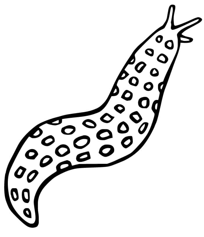 Desenho De Lesma 2 Para Colorir
