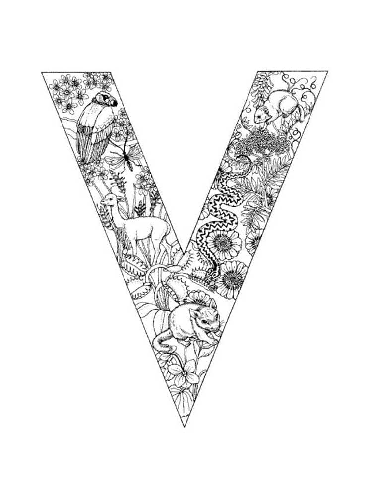 Desenho De Letra V Para Criancas Para Colorir