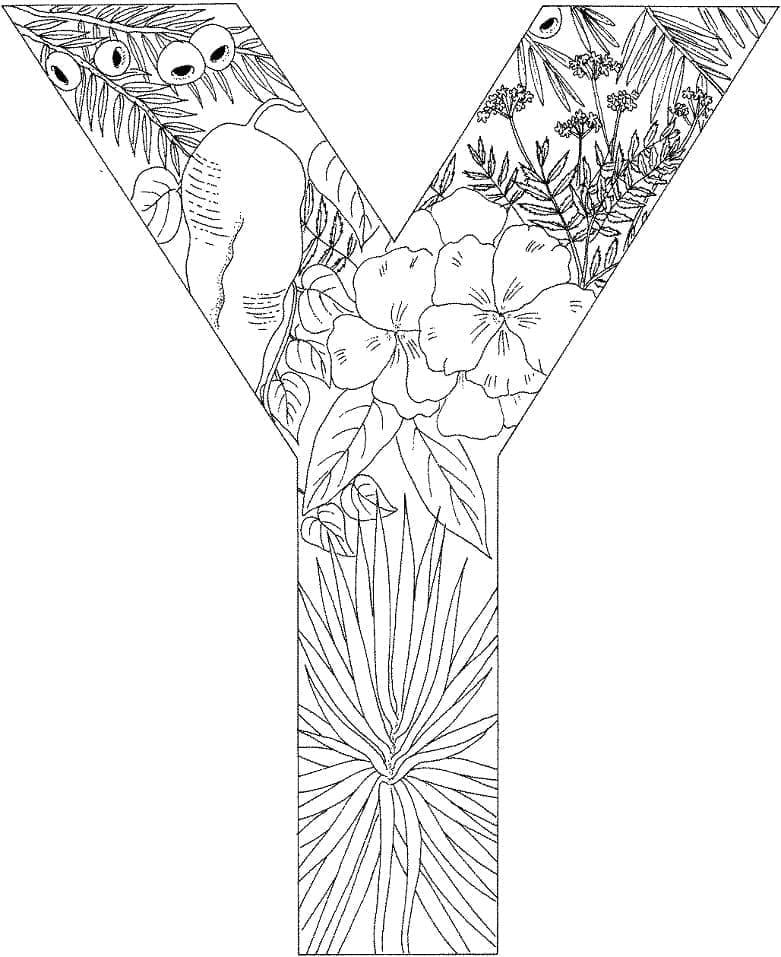 Desenho De Letra Y Para Criancas Para Colorir