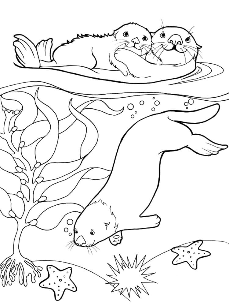 Desenho De Familia Lontra Para Colorir