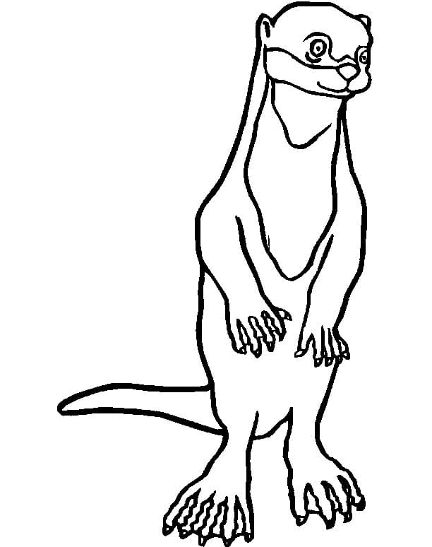 Desenho De Lontra Em Pe Para Colorir
