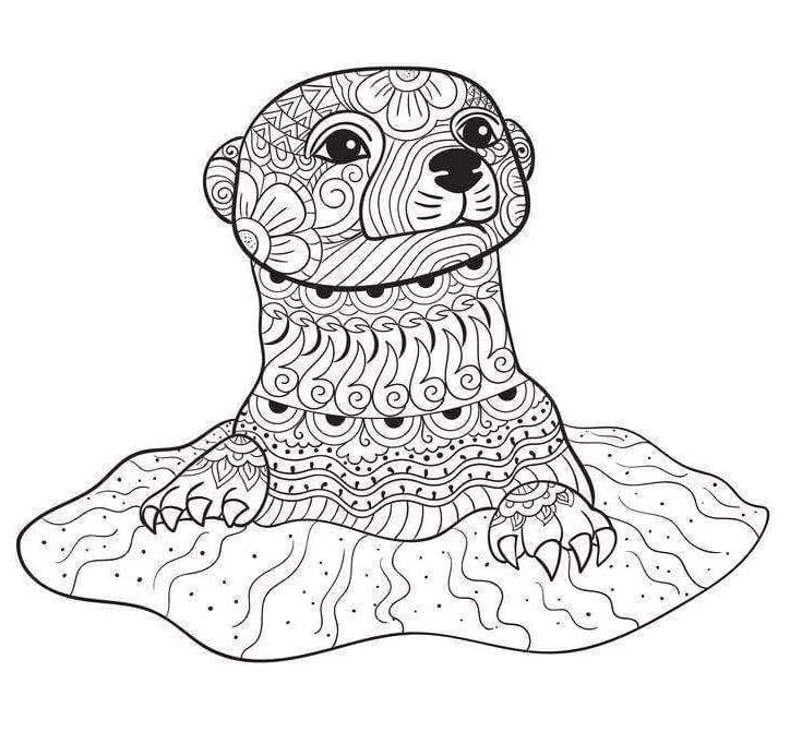 Desenho De Lontra Para Adultos Para Colorir