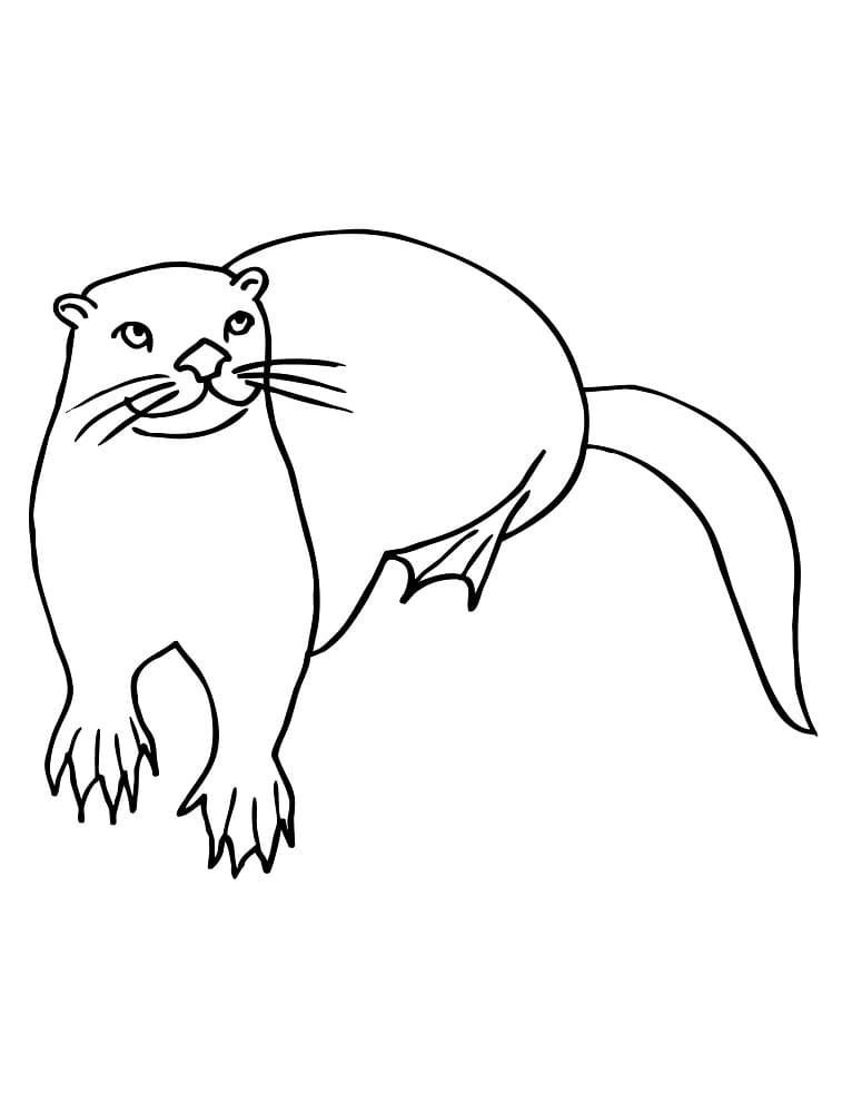 Desenho De Lontra Para Criancas Para Colorir