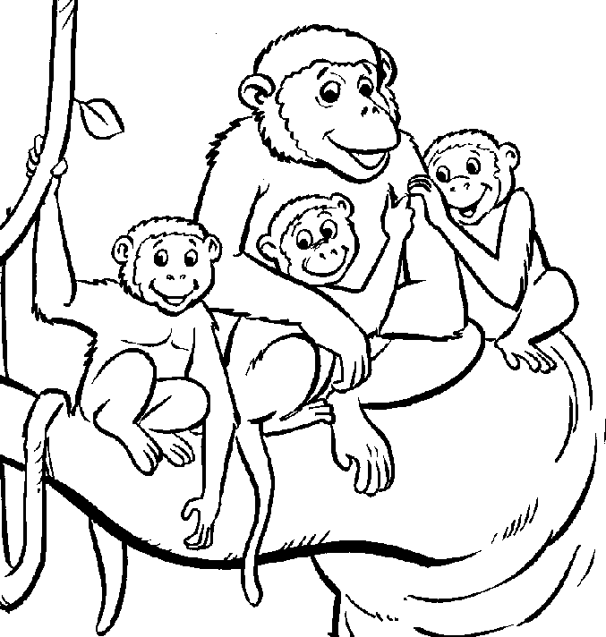 Desenho de Família de Macaco na Floresta para Colorir de Graça
