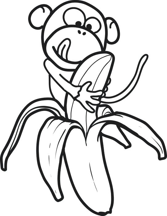 Desenho de Macaco Comendo Banana na Floresta para Colorir