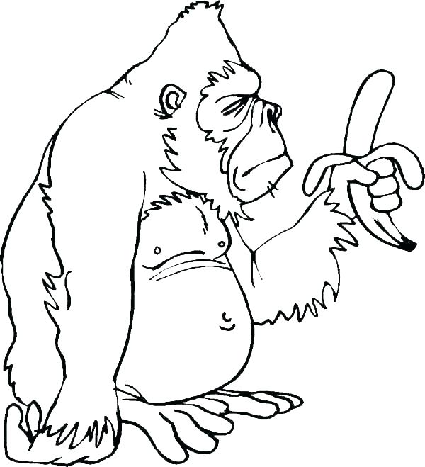 Desenho de Macaco Gorila Comendo Banana para Colorir Pdf