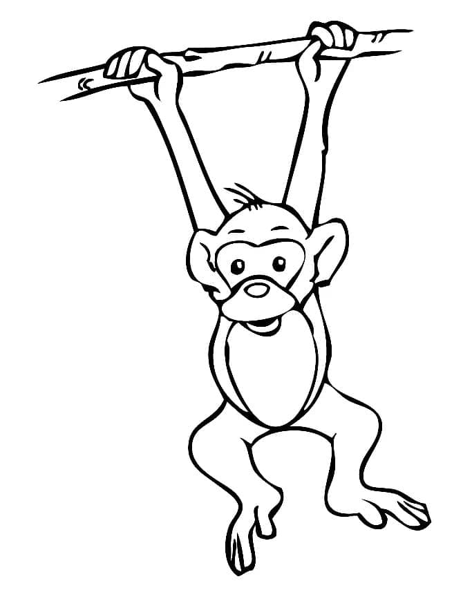 Desenho de Macaco Pendurado para Colorir