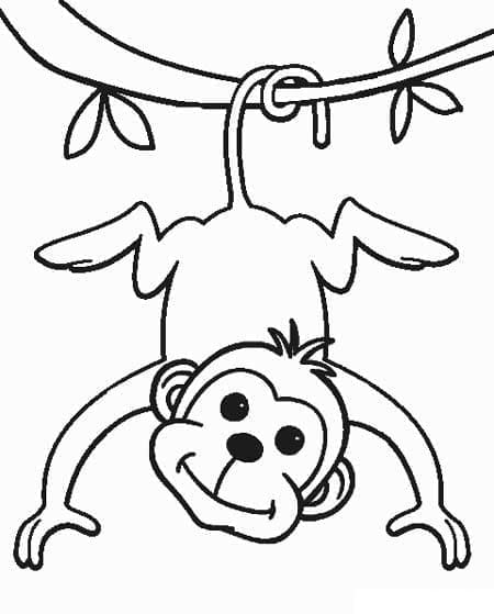 Desenho de Macaco Simples para Colorir
