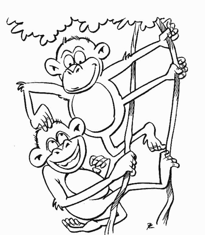 Desenho de Macacos Engracados para Colorir