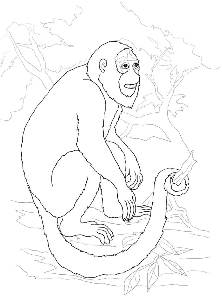 Desenho Macaco Normal para Colorir