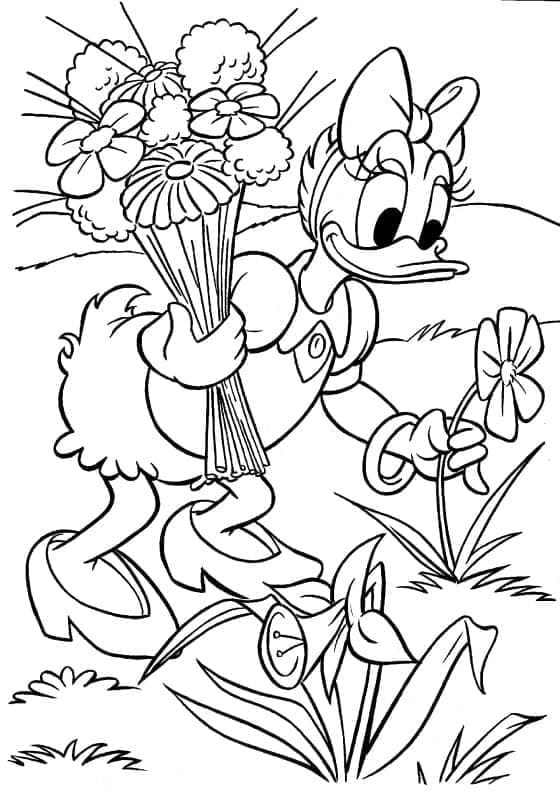 Desenho de Disney Margarida e Flores para Colorir