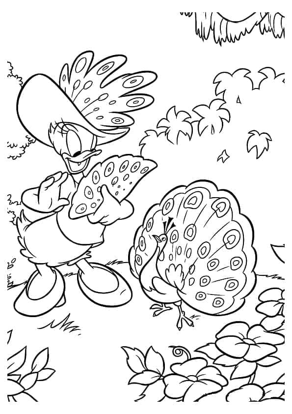 Desenho de Disney Margarida e Pavão para Colorir