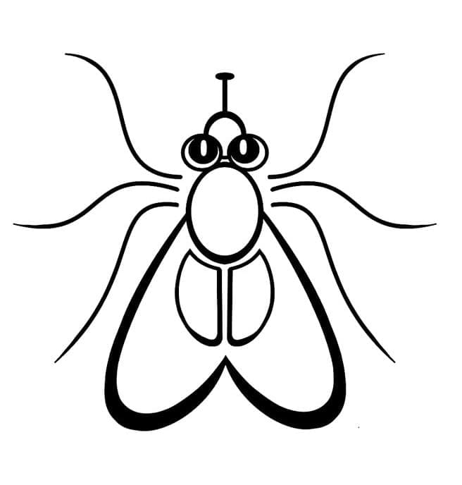 Desenho de Moscá Muito Fácil para Colorir