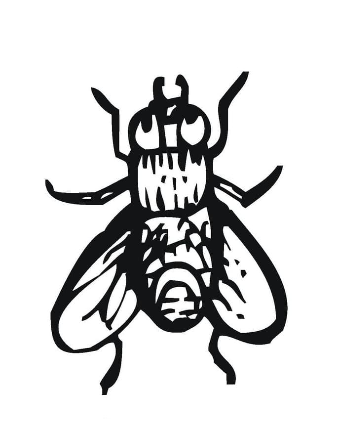 Desenho de Moscá para Colorir