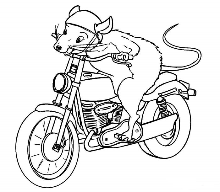 Desenho de Rato Pilotando Moto Muito Rápida para Colorir