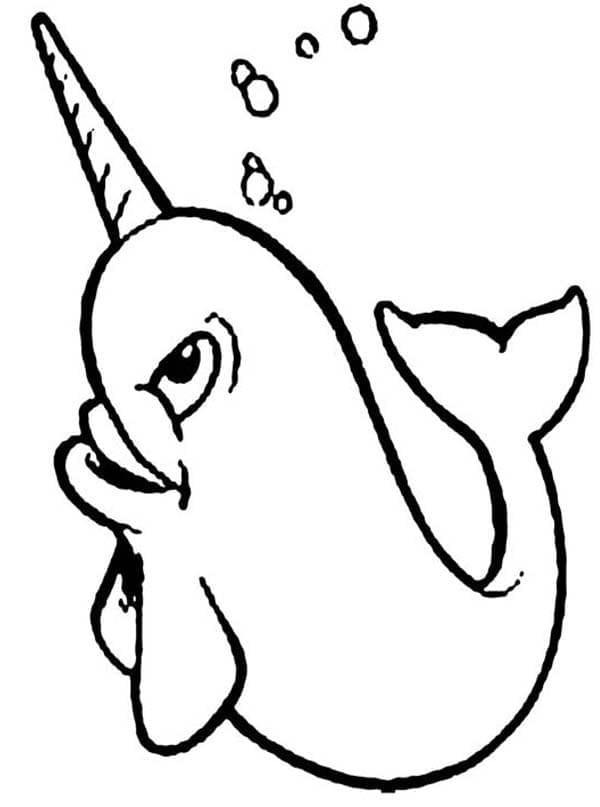 Desenho De Narval 2 Para Colorir