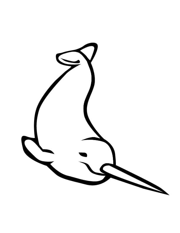 Desenho De Narval 4 Para Colorir
