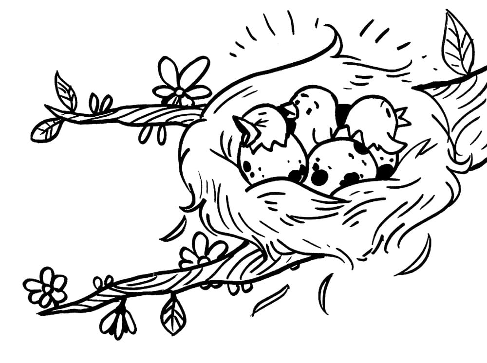 Desenho de Ninho de Pássaro para Colorir