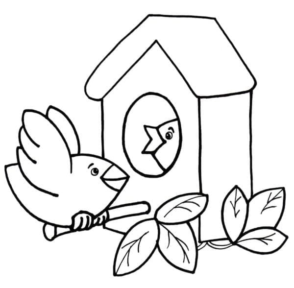 Desenho de Pássaros Fofos para Colorir