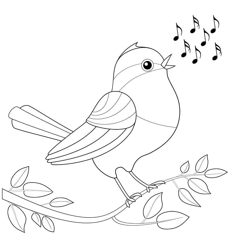 Desenho de um Pássaro Cantando para Colorir