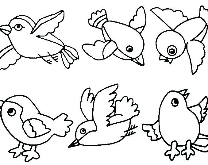 Desenho de Vários Pássaros para Imprimir e Pintar com Canetinha
