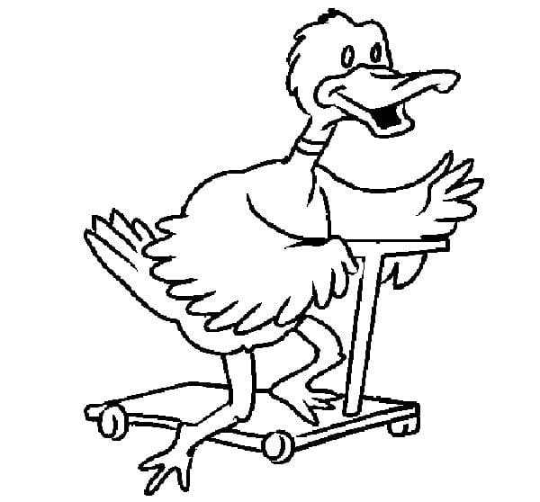 Desenho de Pato no Patinete para Colorir