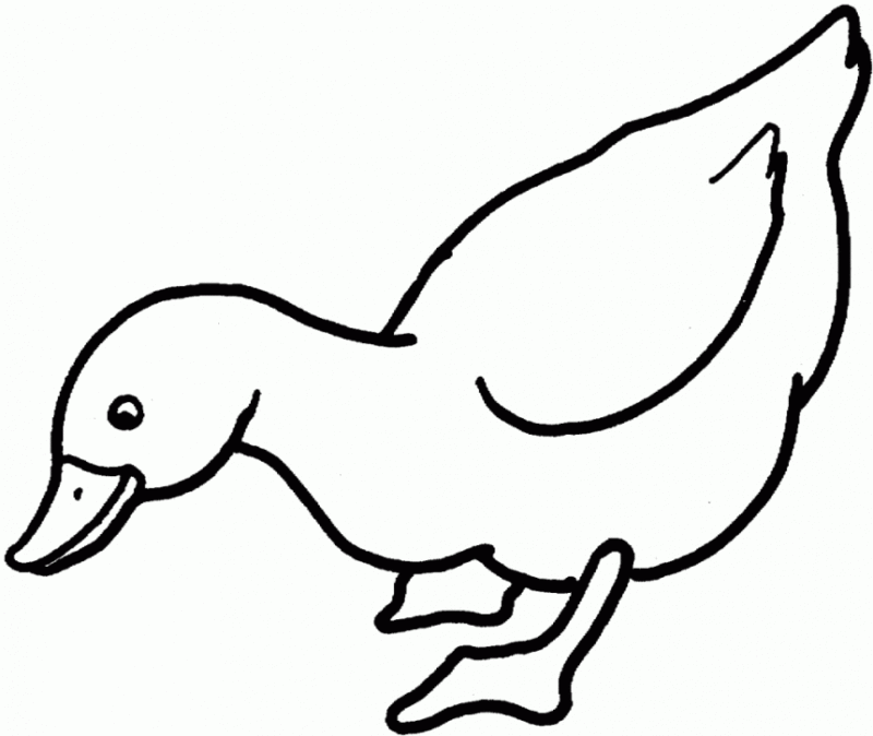 Desenho de Patinho Pdf para Colorir