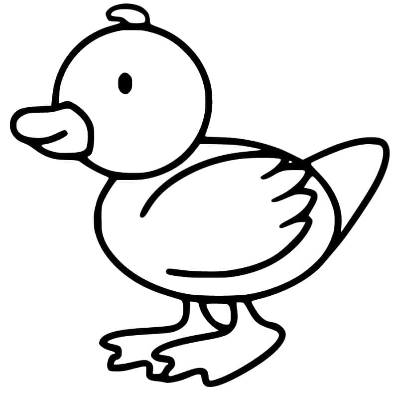 Desenho Patinho Simples para Colorir