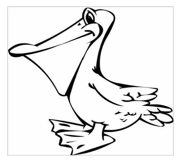 Desenho de Pelicano Imprimivel para Imprimir e Colorir