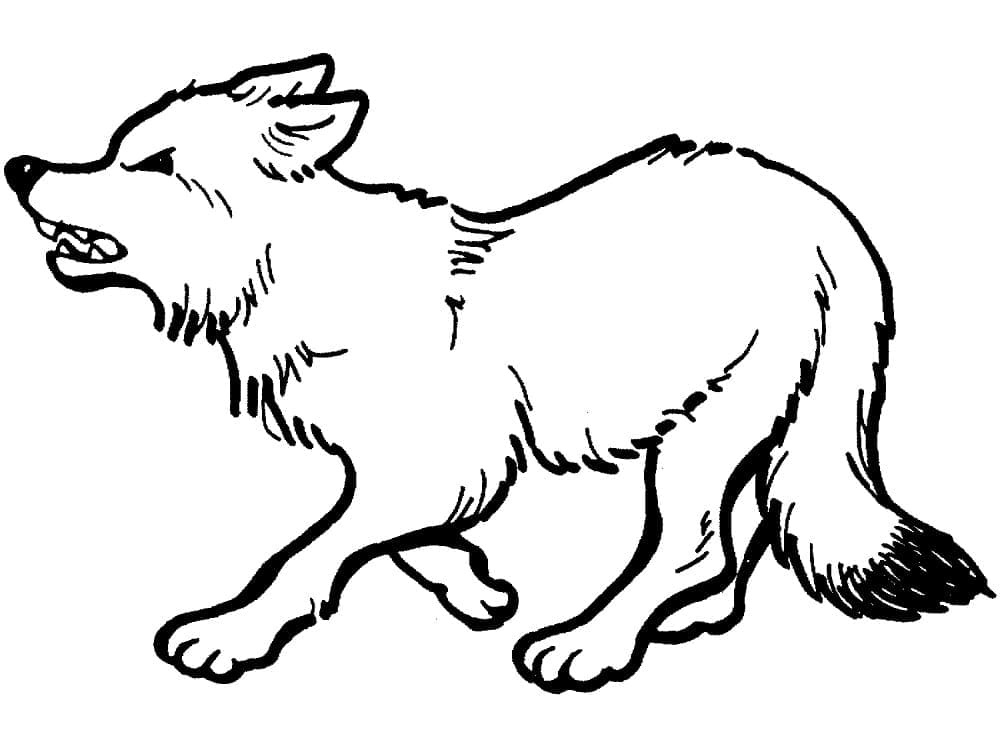 Desenho de uma Raposa Irritada para Colorir