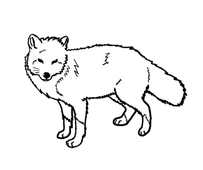 Desenho de uma Raposa para Colorir