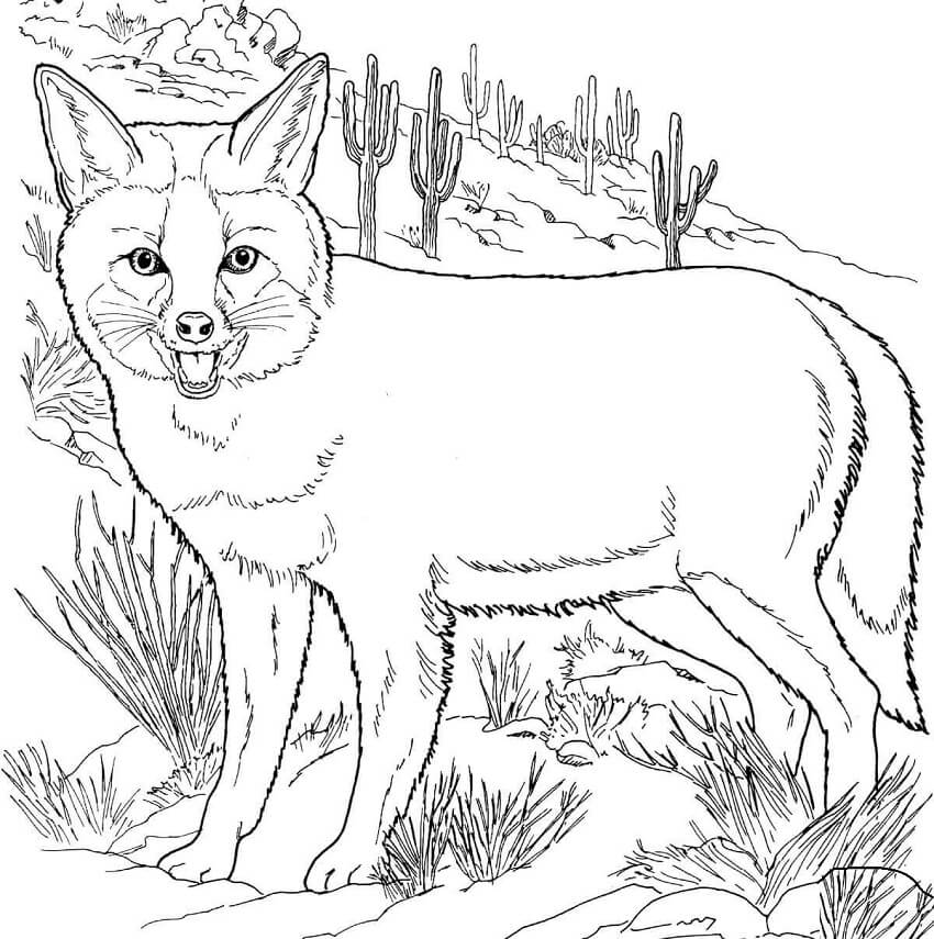 Desenho de Raposa para Colorir Pdf Grátis