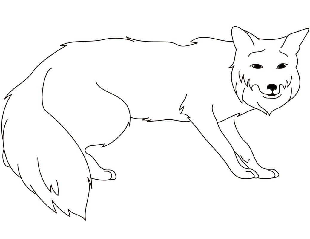 Desenho de Raposa Pdf para Colorir Grátis