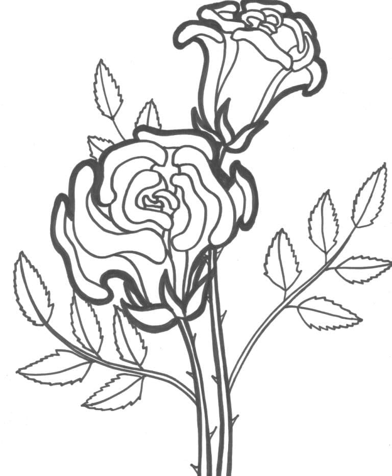 Desenhos de Duas Lindas Rosas para Colorir