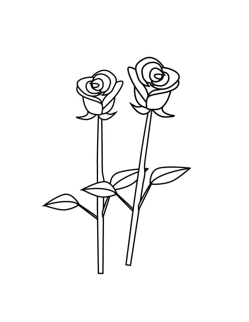 Desenhos de Duas Rosas para Colorir